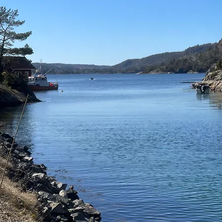 No6 * أريسُر