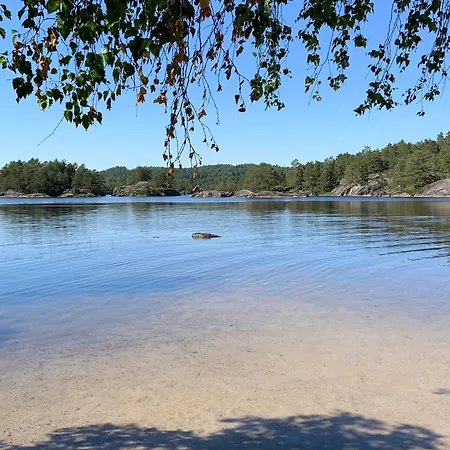 Вилла No6 Рисёр