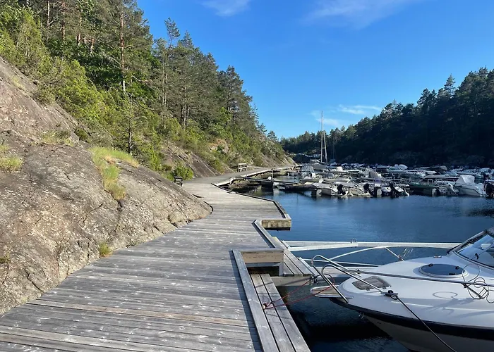 Вилла No6 Рисёр